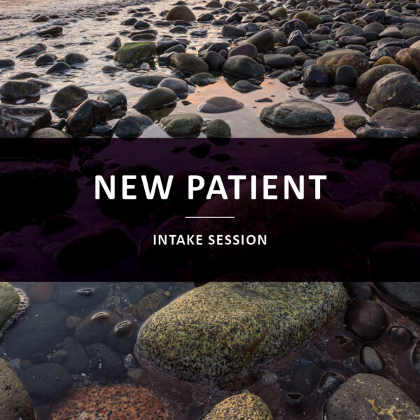 New Patient Intake Session